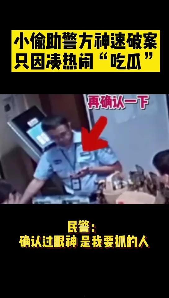 破案又吃瓜免费阅读,瓜田里的正义传奇